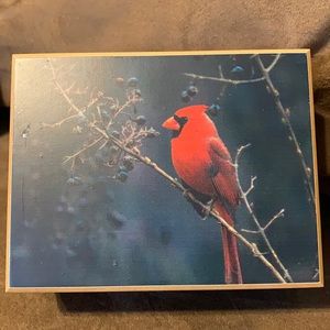 NEW Cardinal image Jewelry box or Card holder